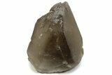 Huge Citrine Crystal - Minas Gerais, Brazil #242869-3